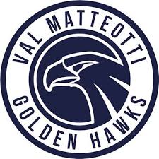 Golden Hawks